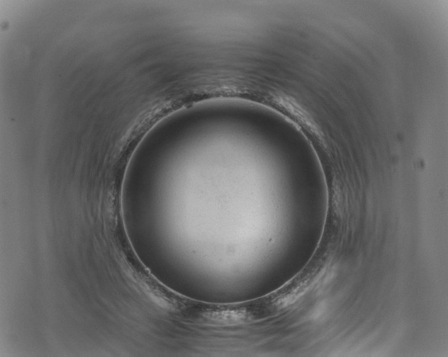 X0000072500449200607211253