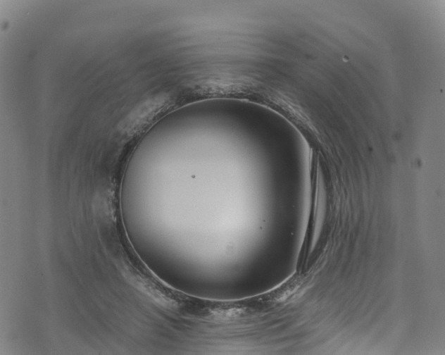 X0000072500450200607211253