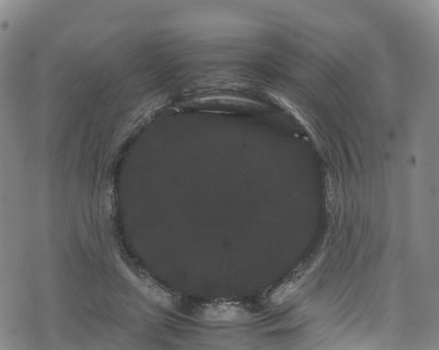 X0000072500451200607211253