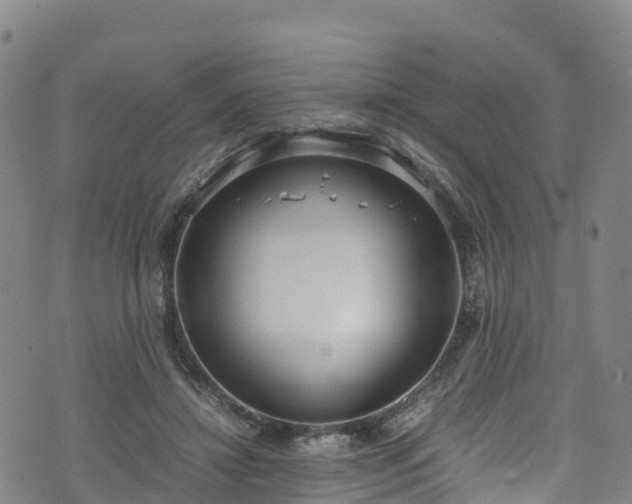 X0000072500452200607211253