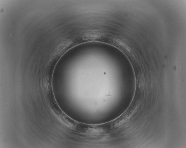 X0000072500455200607211253