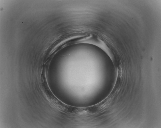 X0000072500456200607211254