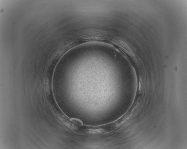 X0000072500457200607211254