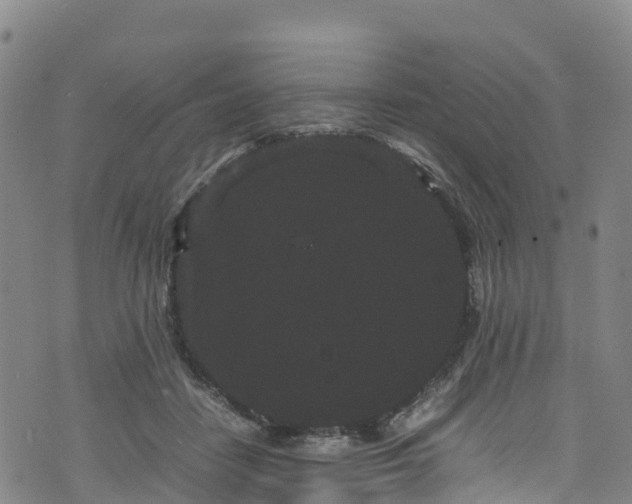 X0000072500458200607211254