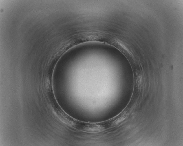 X0000072500459200607211254