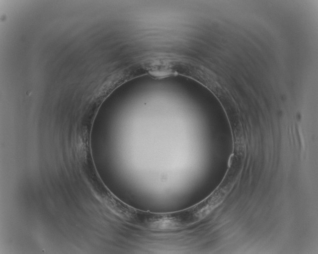 X0000072500460200607211254