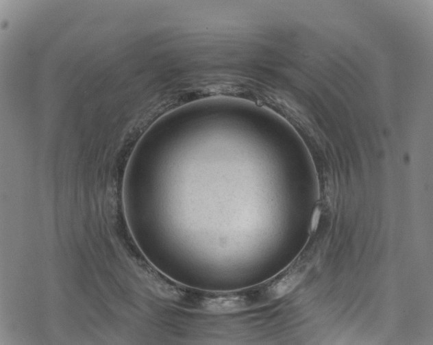 X0000072500461200607211254