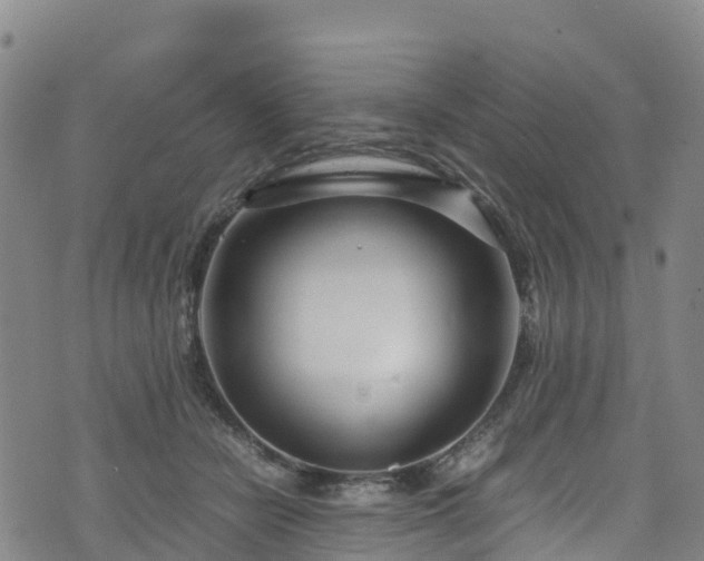 X0000072500462200607211254