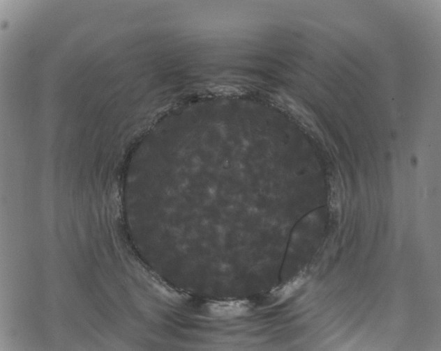 X0000072500465200607211254