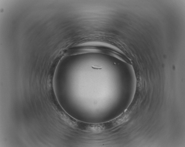 X0000072500466200607211254