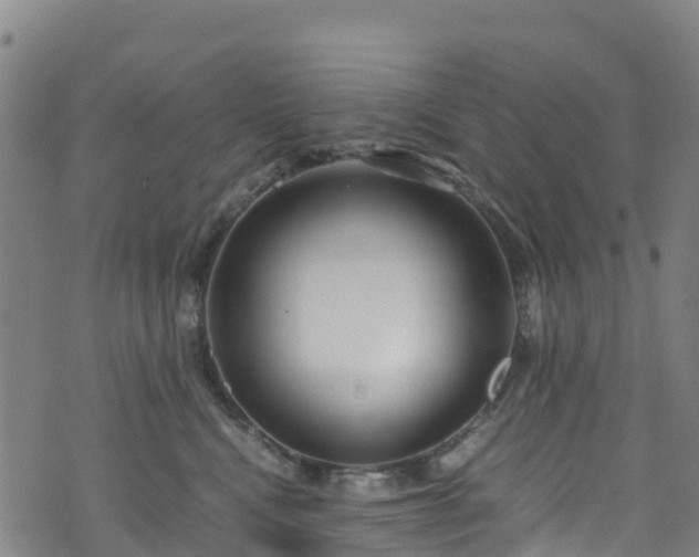 X0000072500472200607211254