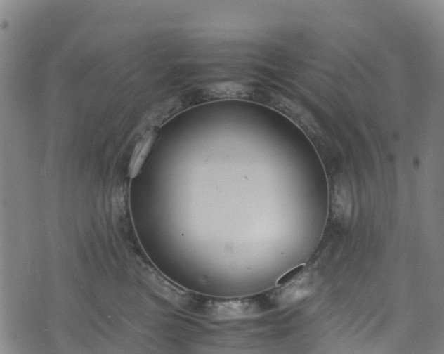 X0000072500473200607211254