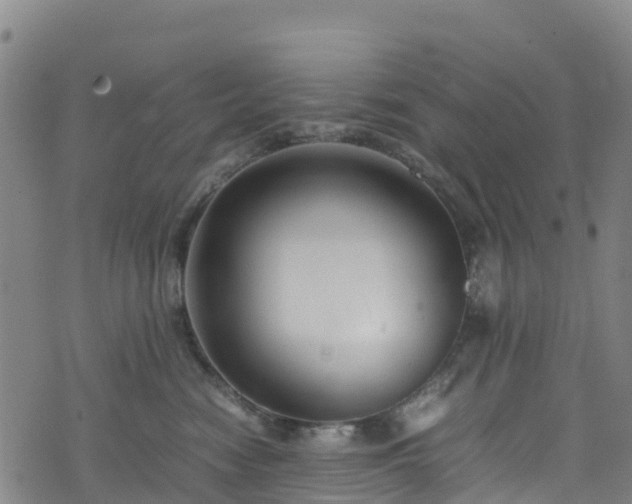 X0000072500474200607211254