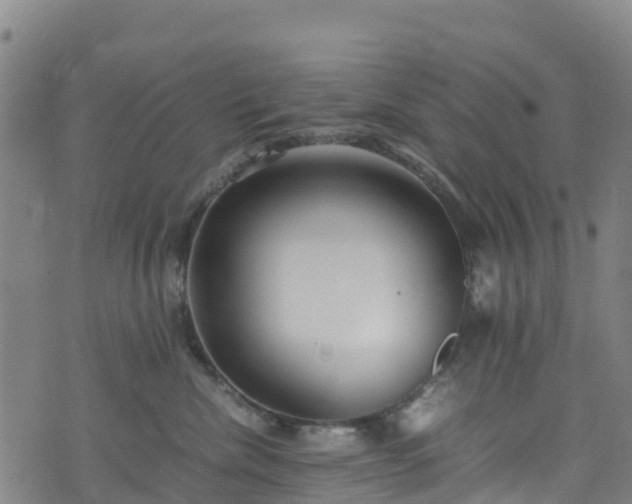 X0000072500476200607211254