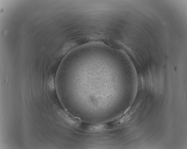 X0000072500479200607211254