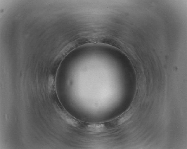 X0000072500480200607211254