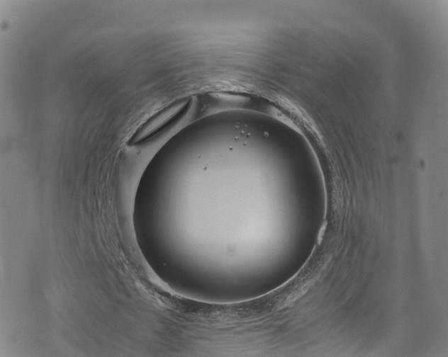 X0000072500481200607211253