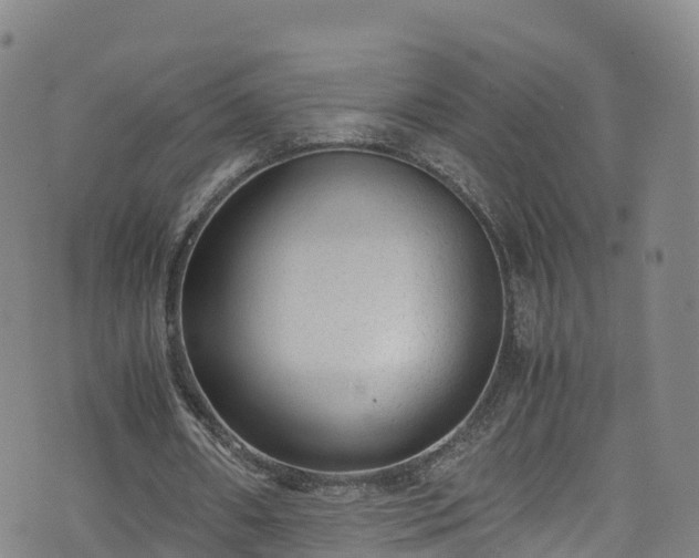 X0000072500482200607211253