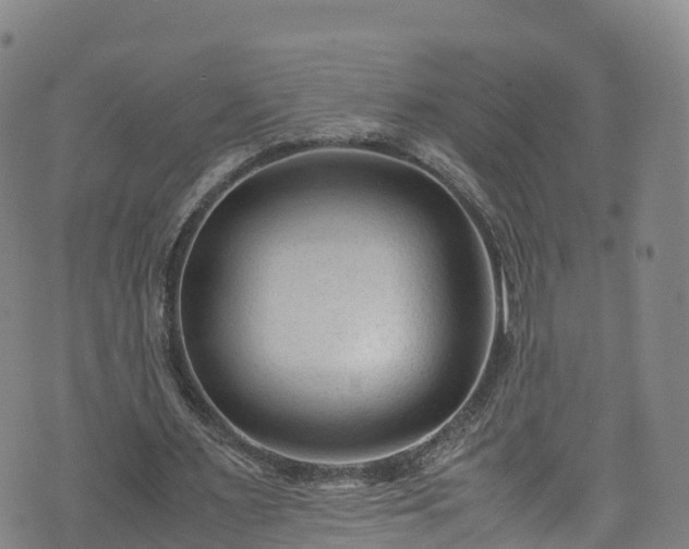 X0000072500483200607211253