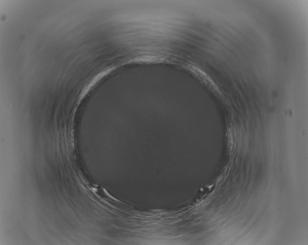 X0000072500484200607211253