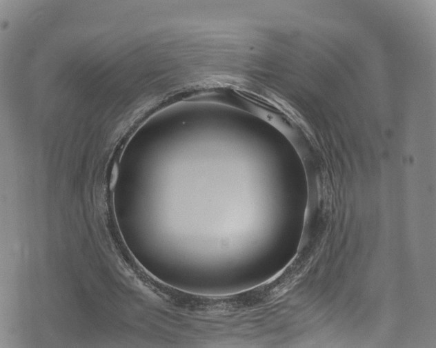 X0000072500485200607211253