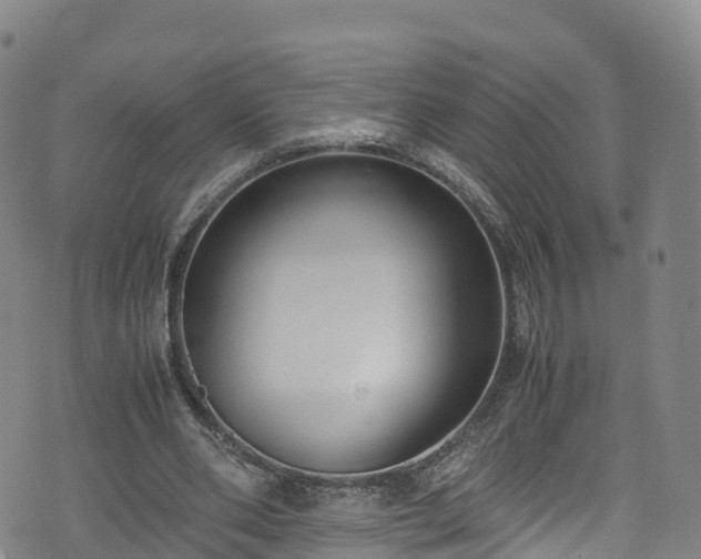 X0000072500486200607211253