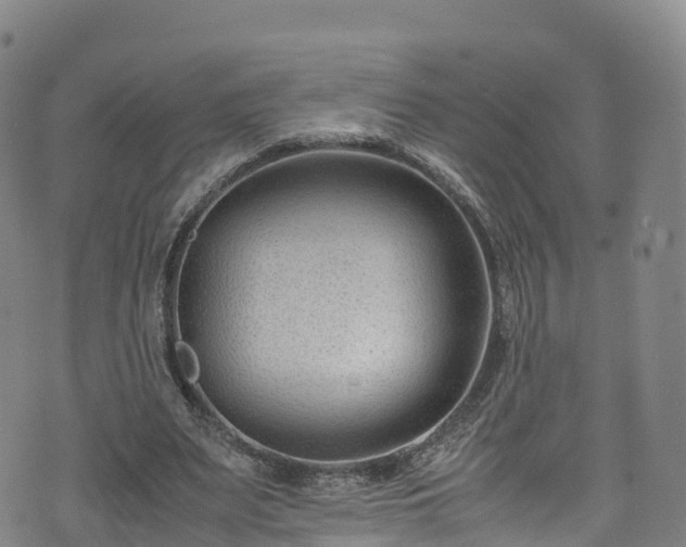 X0000072500487200607211253