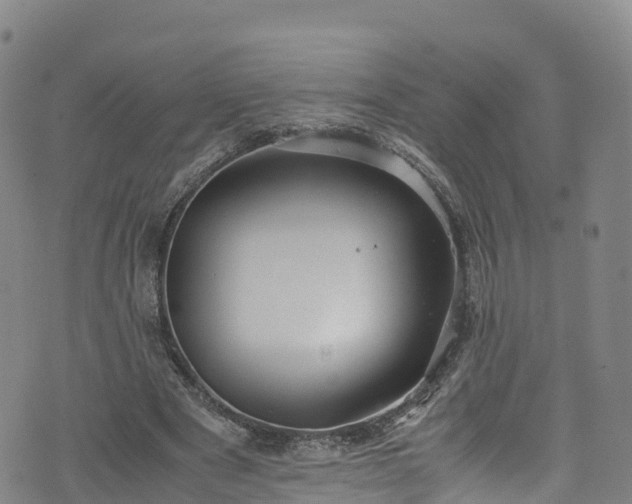 X0000072500489200607211253