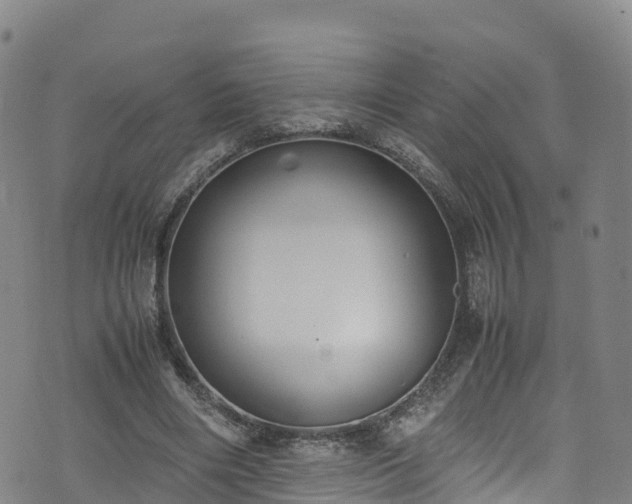 X0000072500490200607211253