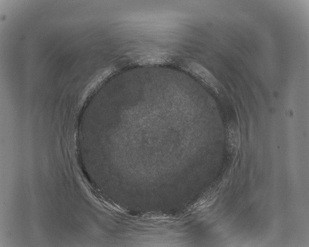 X0000072500491200607211253