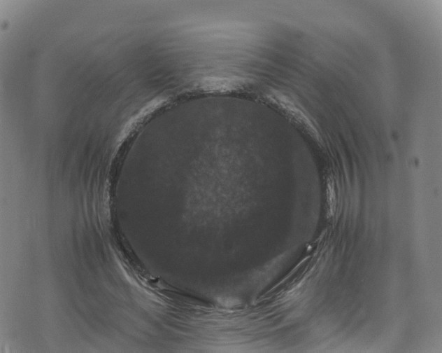 X0000072500492200607211253