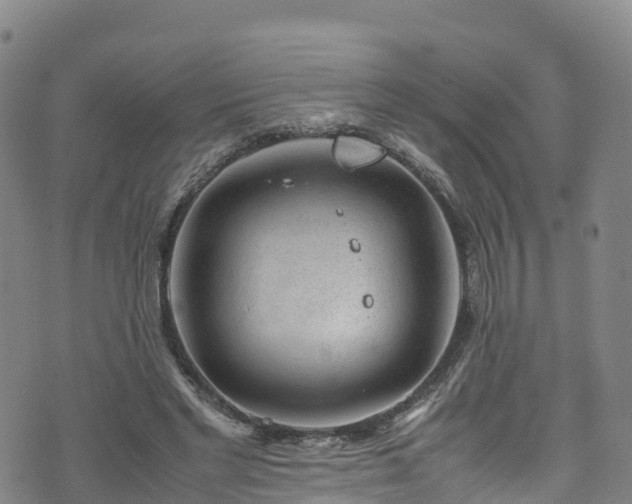 X0000072500493200607211253