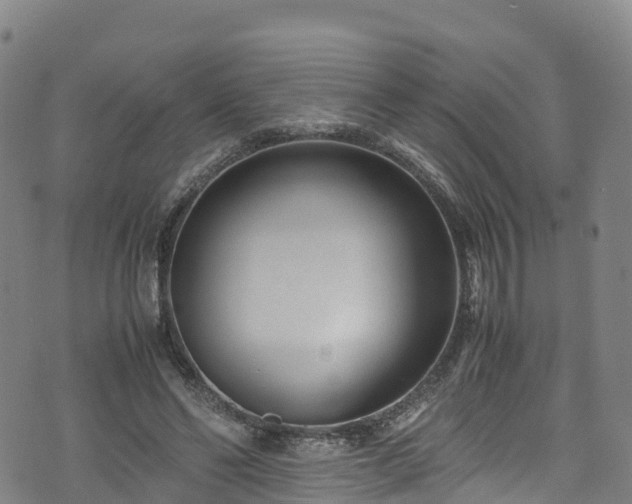 X0000072500494200607211253