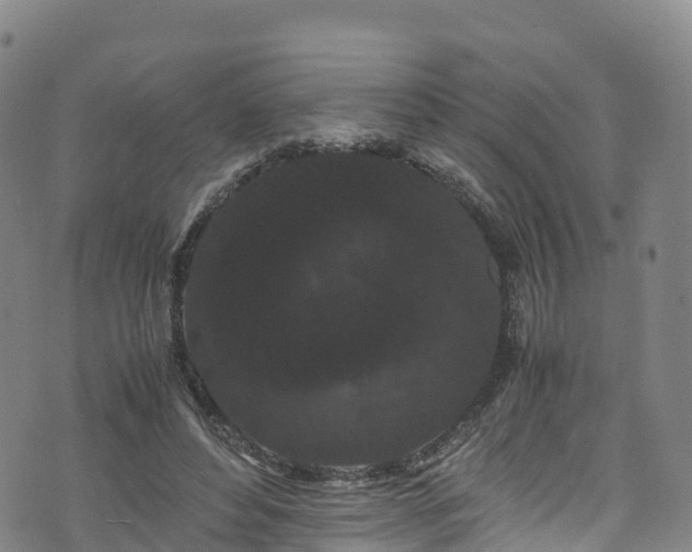 X0000072500496200607211253