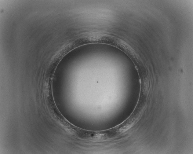 X0000072500497200607211253