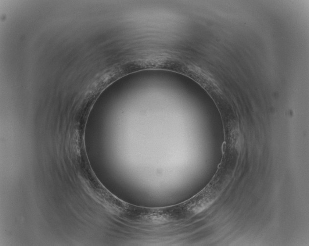 X0000072500498200607211253