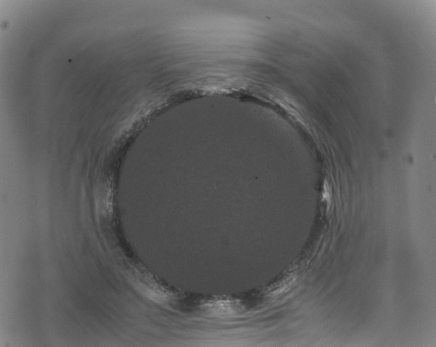 X0000072500499200607211253