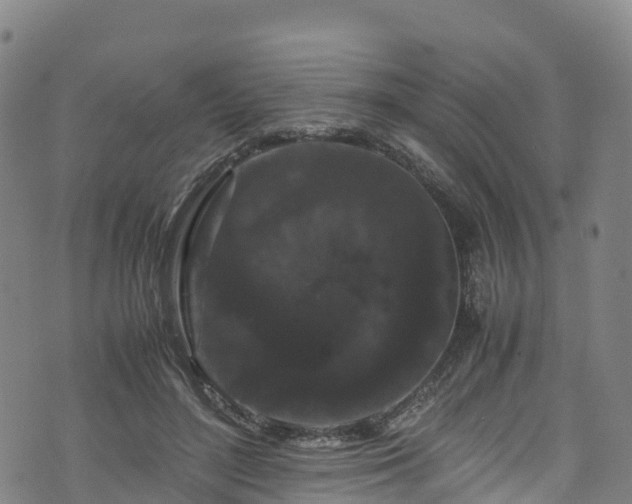 X0000072500500200607211253