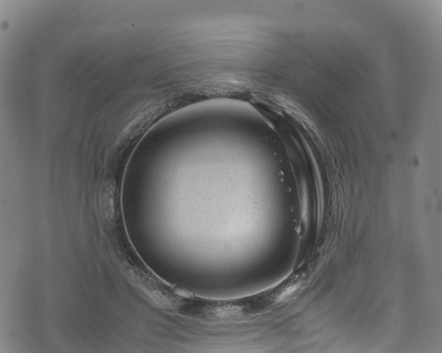 X0000072500501200607211253