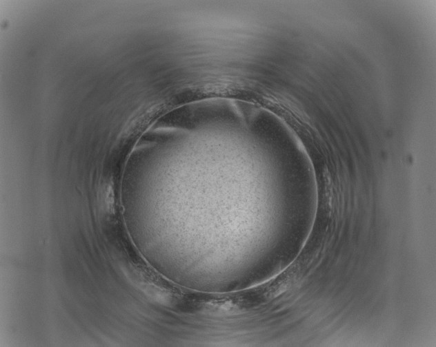 X0000072500502200607211253