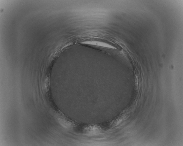 X0000072500503200607211253