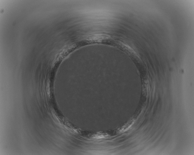 X0000072500504200607211253