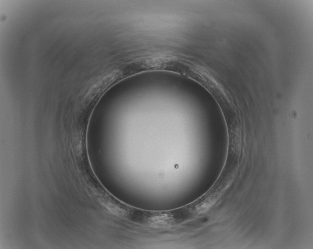 X0000072500505200607211253