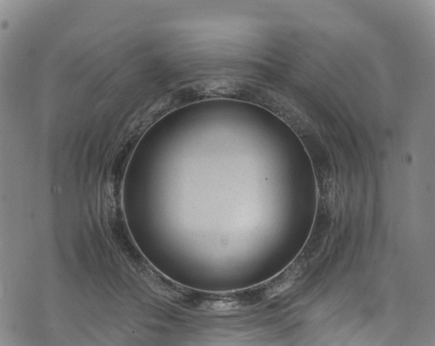 X0000072500506200607211253