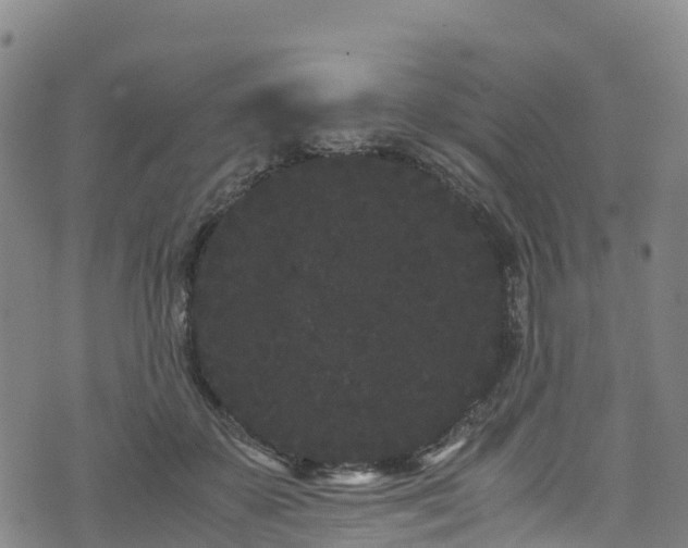 X0000072500507200607211253