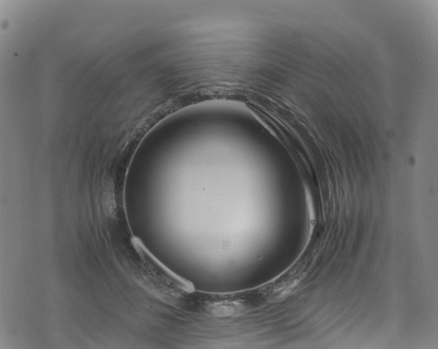 X0000072500508200607211253