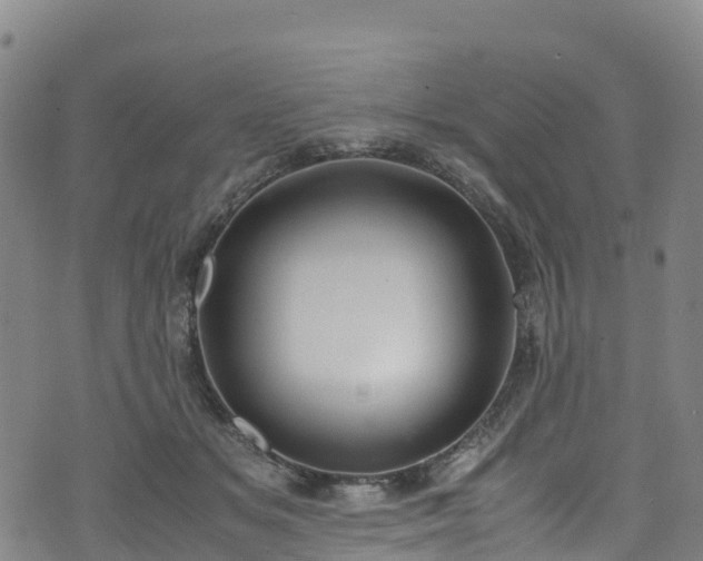 X0000072500509200607211253