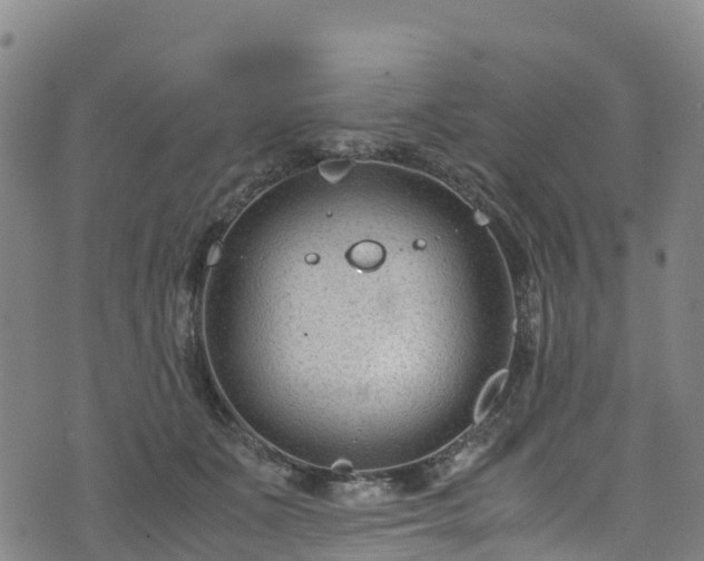 X0000072500511200607211253