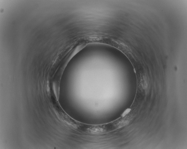 X0000072500512200607211253