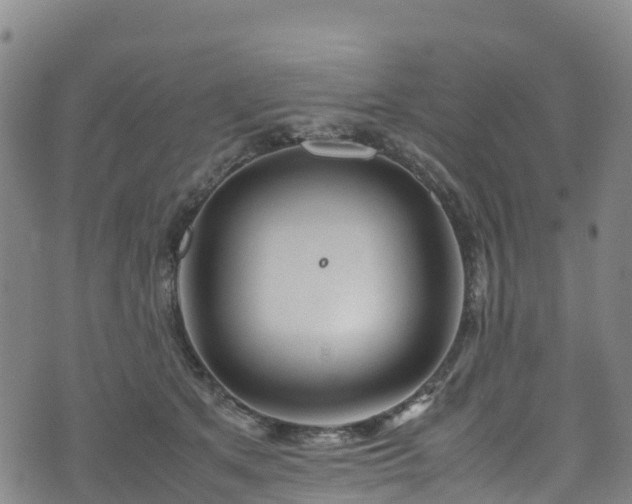 X0000072500513200607211253